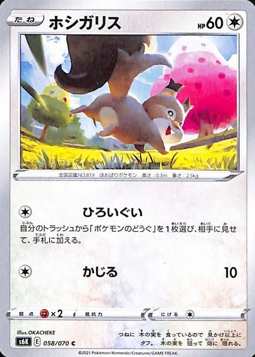 非売品 ホシガリス| ポケモンカードゲーム通販のカードミュージアム ポケモンカードゲーム