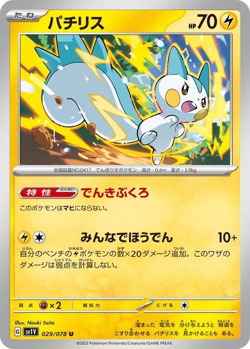 パチリス| ポケモンカードゲーム通販のカードミュージアム