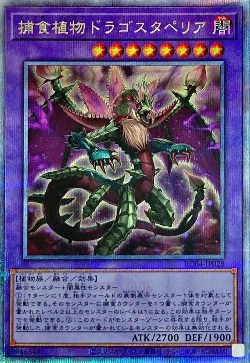 捕食植物ドラゴスタペリア【アルティメットレア】 遊戯王 捕食植物ドラゴスタペリア【25th シークレットレア