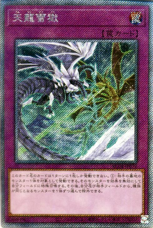 【送料無料ライン/39ショップ】 遊戯王 天龍雪獄【エクストラシークレットレア】 RARITY 遊戯王OCG デュエルモンスターズ