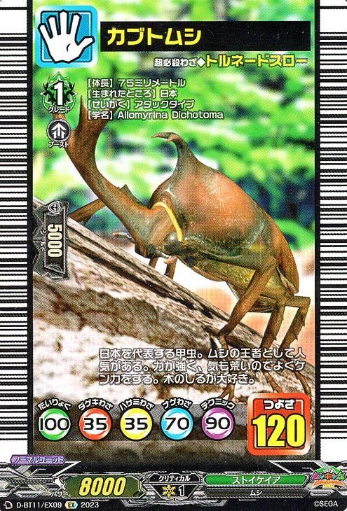 カブトムシ【EX】