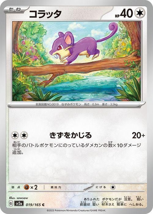 ポケモンカード コラッタ psa10 PSA10鑑定済〕コラッタLV.9(マークなし)【-】{旧裏}