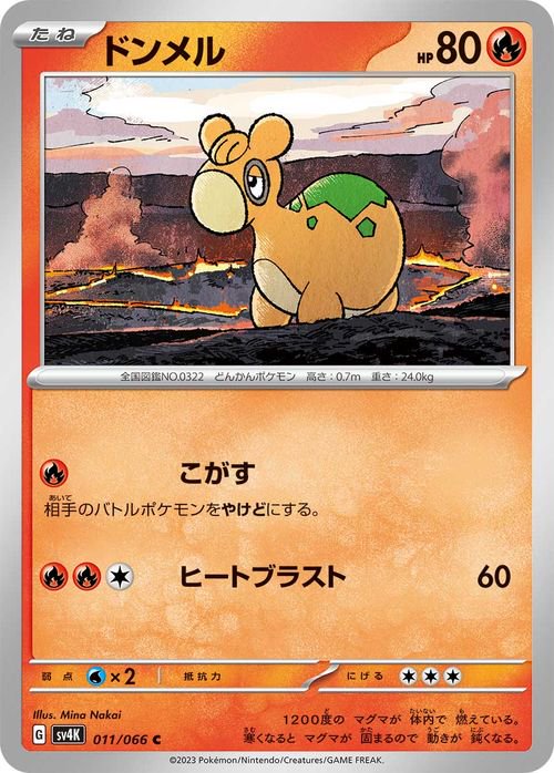 ドンメル| ポケモンカードゲーム通販のカードミュージアム