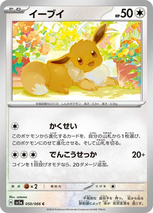 イーブイ| ポケモンカードゲーム通販のカードミュージアム