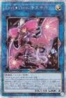 ţԣ 25th åȥ쥢