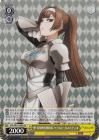 聖王国神官団団長 ケラルト・カストディオ【HU】