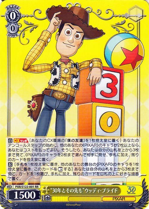 30ǯȤɥåǥץ饤ɡRR