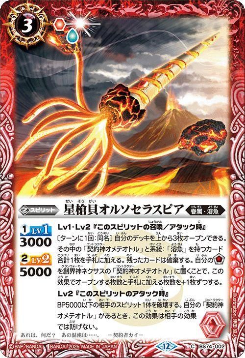 星槍貝オルソセラスピア