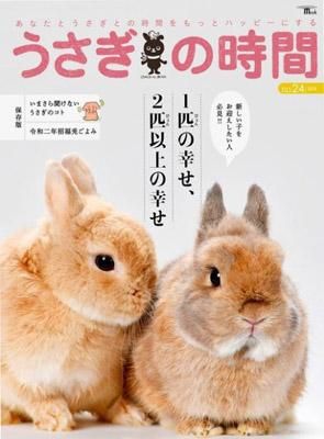 うさぎの時間 No 24 うさぎ星 大阪のうさぎ専門店 うさぎの時間 No 24 うさぎ星 大阪のうさぎ専門店