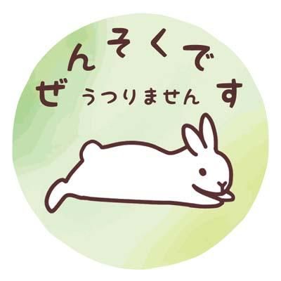 ぜんそくバッジ 寝転がりうさぎ マーブルグリーン うさぎ星 大阪のうさぎ専門店 ぜんそくバッジ 寝転がりうさぎ マーブルグリーン うさぎ星 大阪のうさぎ専門店