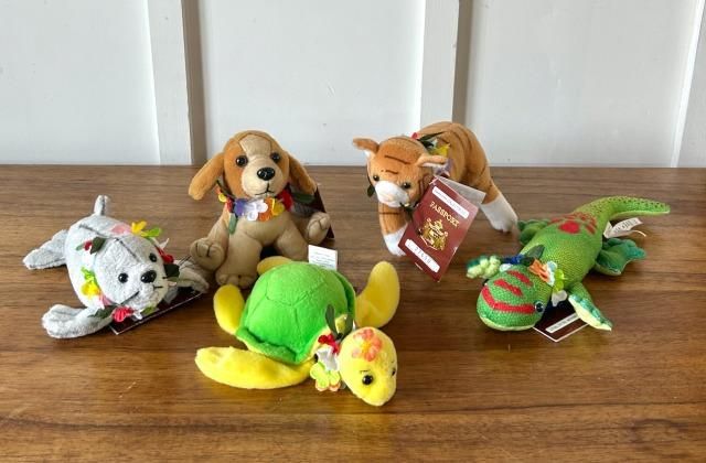 ハワイ直輸入!!コレクティブルアニマルズねこ - 本物のハワイをお届け