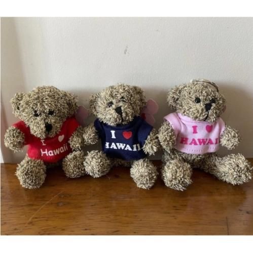 ハワイ直輸入!!I Love Hawaii Tシャツベアーキーチェーンネイビー