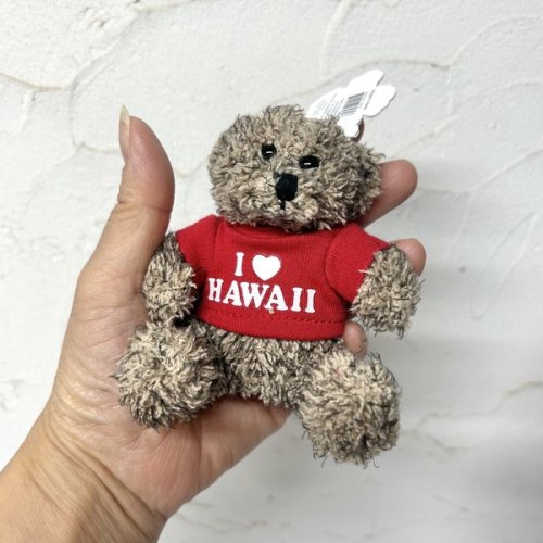 ハワイ直輸入!!I Love Hawaii Tシャツベアーキーチェーンレッド - 本物