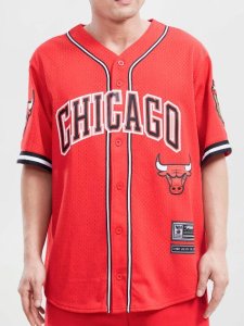 BF99)PRO STANDARD Chicago Bullsベースボールジャージシャツ