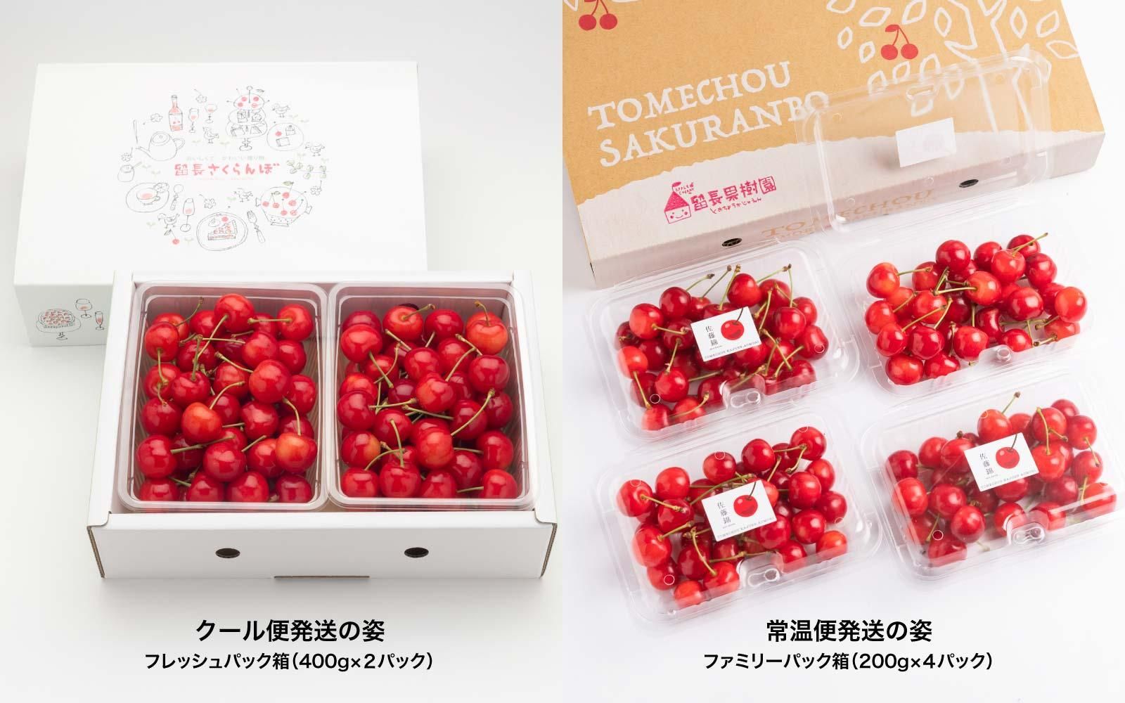 さくらんぼ「佐藤錦」ファミリ－パック800g