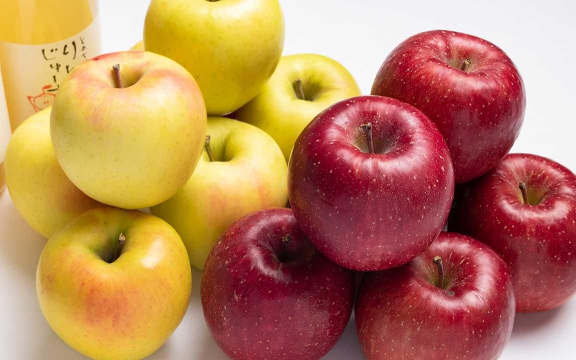 留長りんご サンふじ ご家庭用 5Kg 10Kg 16Kg - 産地直送