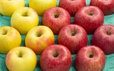 Ѥ󤴥դ̾͹礻6Kgߡˢդ3kgȤ̾3kg2Ȣ6kgΥåȤȤʤޤ