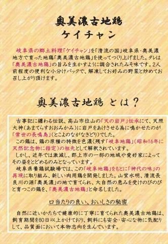 奥美濃古地鶏ケイチャンセット 贈答用 全国送料込 G-KEI-A