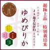 令和4年産　北海道砂川・奈井江産　特別栽培米　ゆめぴりか　5ｋｇ　タンパク6.8％以下