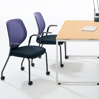 եå ߡƥ󥰥 giroflex 353 meeting