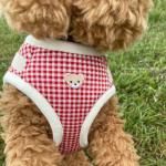 DOG'N'DOG<br>ɥå󥬥å<br>ϡͥ