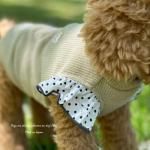 <img class='new_mark_img1' src='https://img.shop-pro.jp/img/new/icons13.gif' style='border:none;display:inline;margin:0px;padding:0px;width:auto;' />DOG'N'DOGۥֿ̥˥å