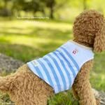 <img class='new_mark_img1' src='https://img.shop-pro.jp/img/new/icons13.gif' style='border:none;display:inline;margin:0px;padding:0px;width:auto;' />DOG'N'DOG3ݥåĥ٥