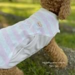 <img class='new_mark_img1' src='https://img.shop-pro.jp/img/new/icons13.gif' style='border:none;display:inline;margin:0px;padding:0px;width:auto;' />DOG'N'DOGۣݥåĥ륦