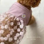 <img class='new_mark_img1' src='https://img.shop-pro.jp/img/new/icons13.gif' style='border:none;display:inline;margin:0px;padding:0px;width:auto;' />DOG'N'DOGۥǥ륵ޡɥ쥹