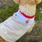 <img class='new_mark_img1' src='https://img.shop-pro.jp/img/new/icons13.gif' style='border:none;display:inline;margin:0px;padding:0px;width:auto;' />【DOG'N'DOG】テディベア3ポケッツクールベスト