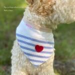 <img class='new_mark_img1' src='https://img.shop-pro.jp/img/new/icons13.gif' style='border:none;display:inline;margin:0px;padding:0px;width:auto;' />DOG'N'DOGۥϡȥХ