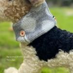 <img class='new_mark_img1' src='https://img.shop-pro.jp/img/new/icons13.gif' style='border:none;display:inline;margin:0px;padding:0px;width:auto;' />DOG'N'DOGۥɥåȥͥåޡ
