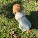 <img class='new_mark_img1' src='https://img.shop-pro.jp/img/new/icons13.gif' style='border:none;display:inline;margin:0px;padding:0px;width:auto;' />DOG'N'DOGۥեɥ쥹