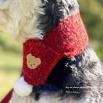 <img class='new_mark_img1' src='https://img.shop-pro.jp/img/new/icons13.gif' style='border:none;display:inline;margin:0px;padding:0px;width:auto;' />DOG'N'DOGۥƥǥ٥ޥե顼