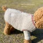 <img class='new_mark_img1' src='https://img.shop-pro.jp/img/new/icons13.gif' style='border:none;display:inline;margin:0px;padding:0px;width:auto;' />DOG'N'DOGۥեեܥ٥