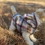 <img class='new_mark_img1' src='https://img.shop-pro.jp/img/new/icons13.gif' style='border:none;display:inline;margin:0px;padding:0px;width:auto;' />��DOG'N'DOG�ۥ��ȥ�å������å��ա��ǥ�