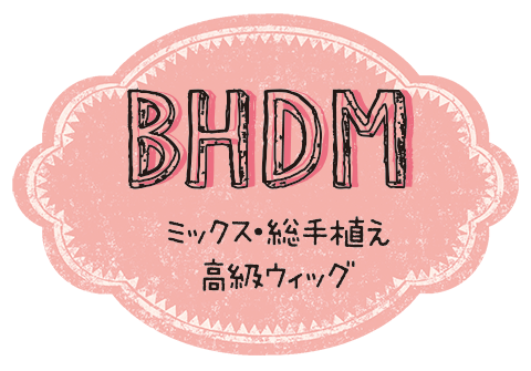 BHDMシリーズ