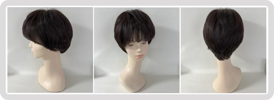 SALE8ʬå