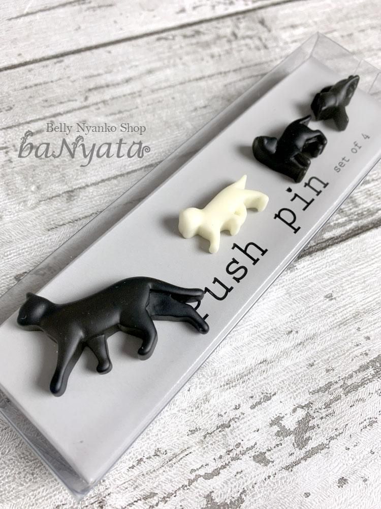 モコ　ベリーダンスホワイト ベリーダンス衣装｜ベリーダンス衣装専門店TOLCORE-トルコレ