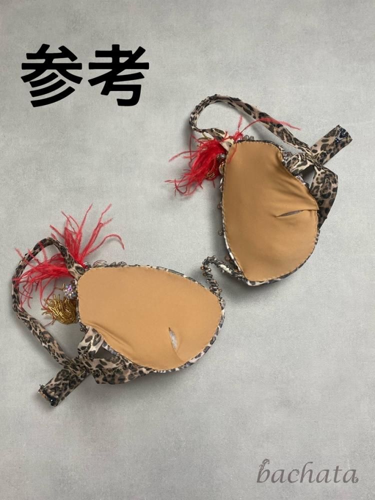 ベリーダンス衣装 ウクライナ AMIRA スパークルサファリ (M-L