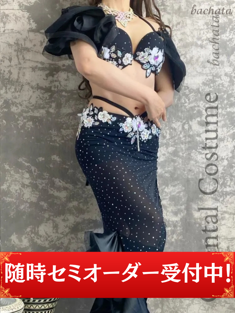 ٥꡼󥹰 եޡᥤɥ֥åCT0011 *nstk