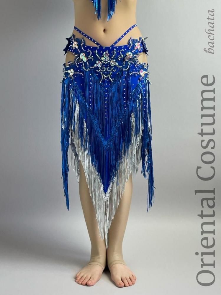 Bella ブルー衣装 ベリーダンス衣装 ロイヤルブルーシルバーフリンジ (ML) CT0210