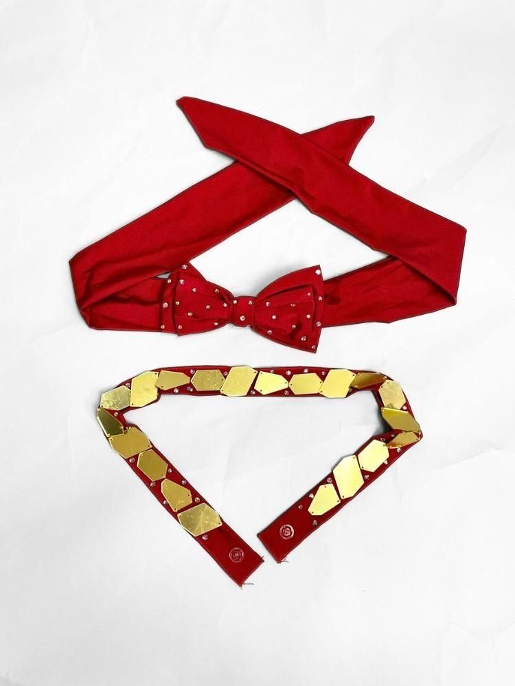 ベリーダンス衣装 パープル/レッド/ブルー 全3色 (M) CT0104