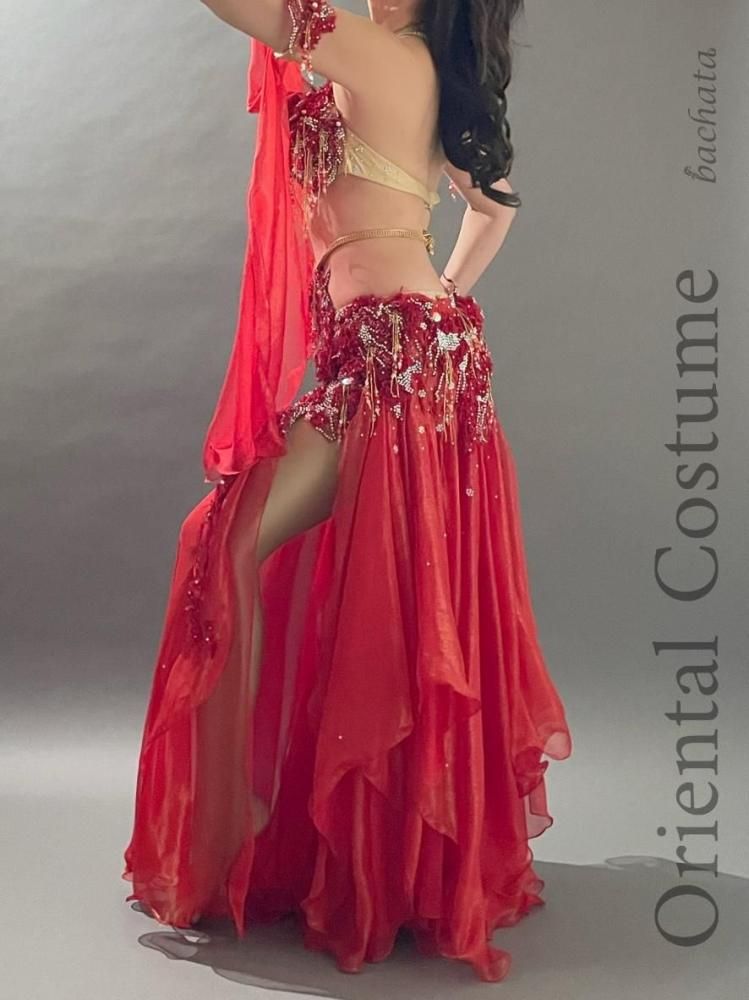 ベリーダンス衣装 Hoyda ルージュフラワー CT0235 (M-L)