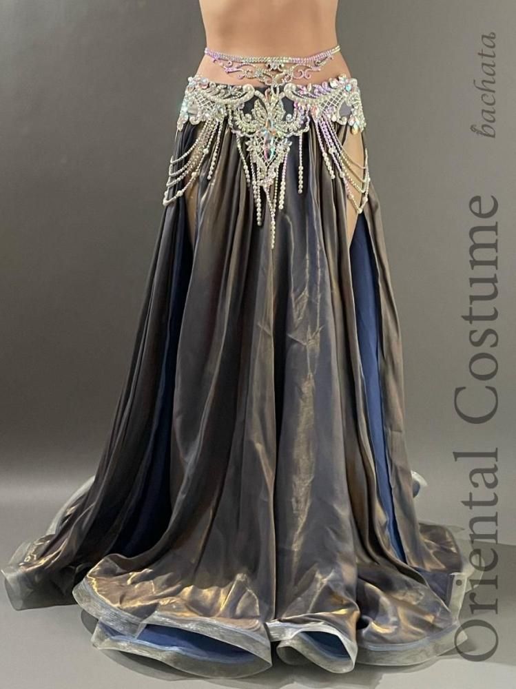 ベリーダンス衣装 ロマンティックメタリック (L-XL) CT0442