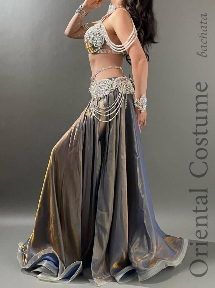 ベリーダンス衣装 ロマンティックメタリック (L-XL) CT0442