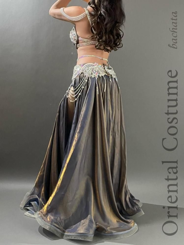 ベリーダンス衣装 ロマンティックメタリック (L-XL) CT0442