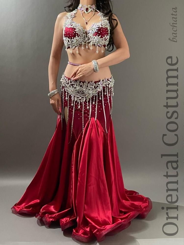 ベリーダンス 衣装 赤 ＸＬ ベリーダンスオリエンタル衣装 ミラーフリンジデザインブラ