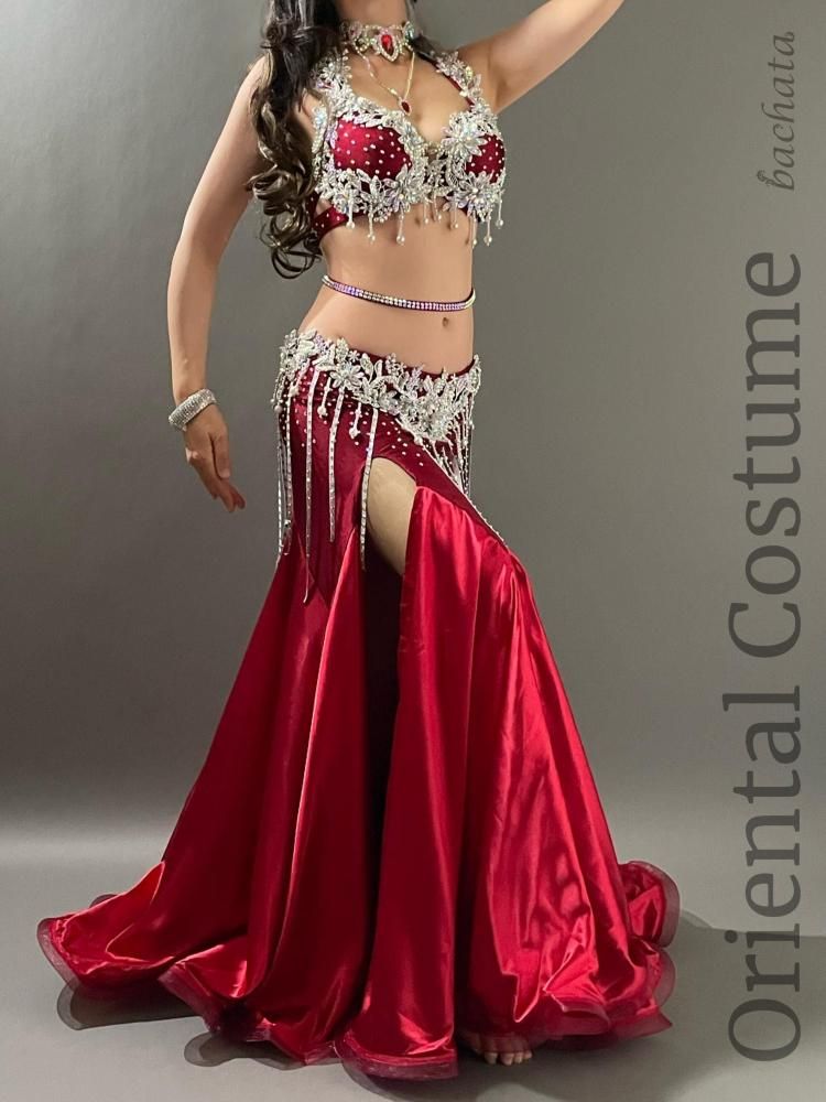 ベリーダンス衣装 臙脂シルバーフラワー (L-XL) CT0440