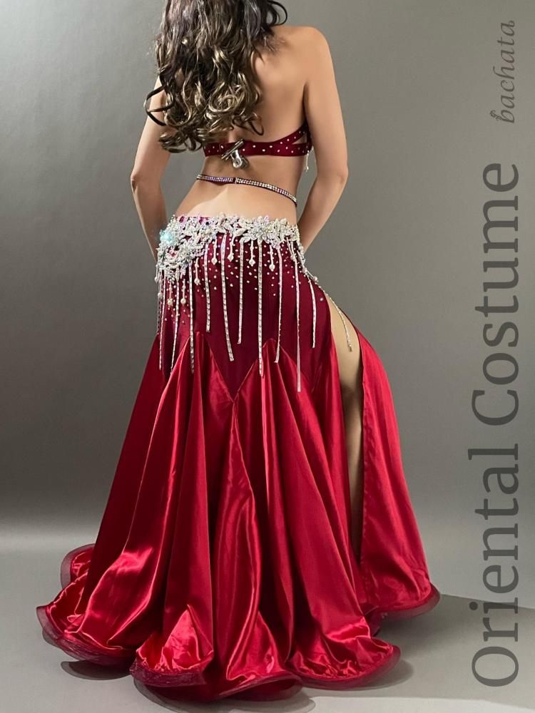 ベリーダンス衣装 臙脂シルバーフラワー (L-XL) CT0440